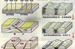 体育运动技术的各要素