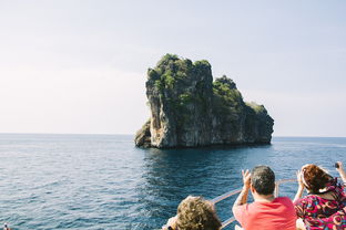 深度探索，热爱背单词，开启语言海洋的探险之旅