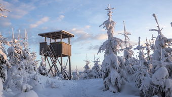 南方雪舞初启